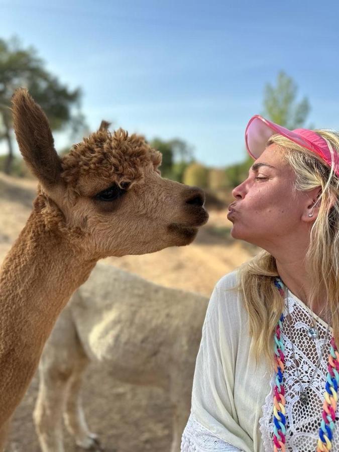 Alpaca Farm And B&B - Mama Adama Grândola Εξωτερικό φωτογραφία