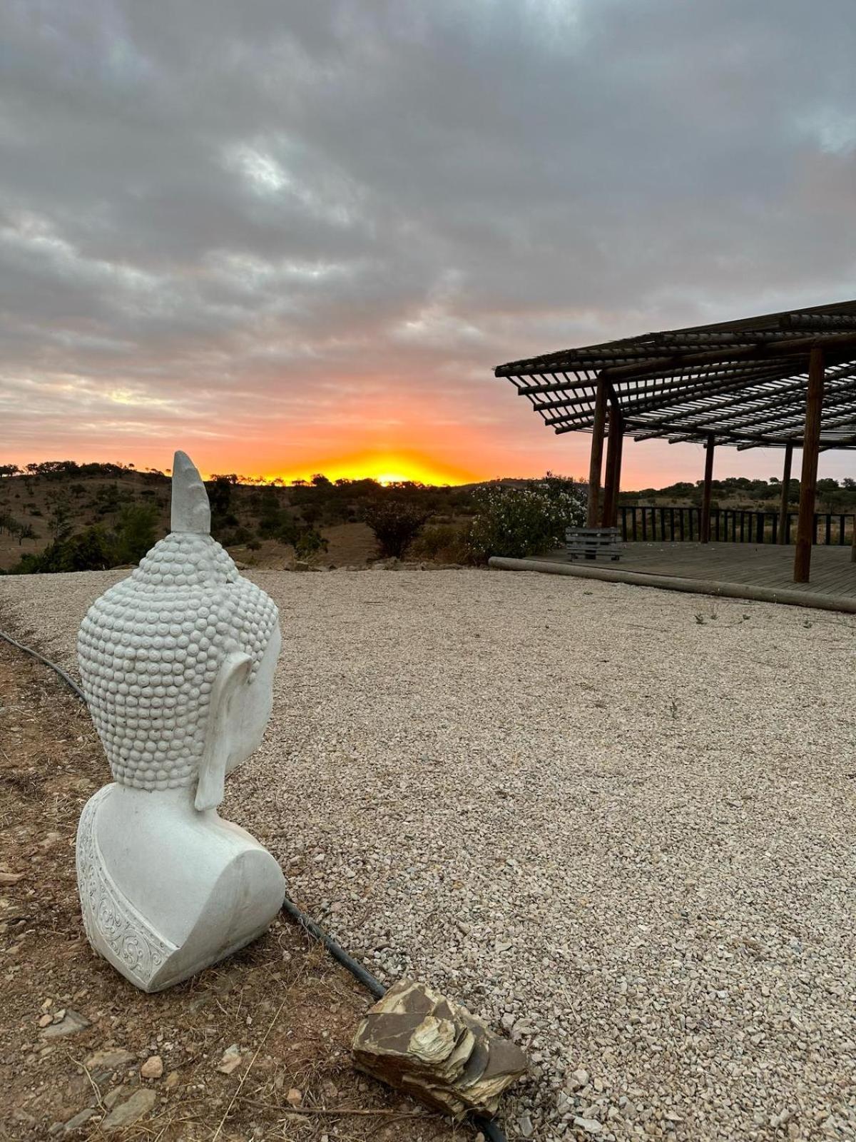 Alpaca Farm And B&B - Mama Adama Grândola Εξωτερικό φωτογραφία
